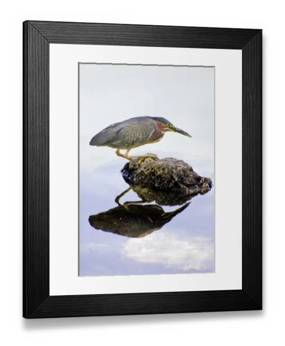 Framed Print : USA, North America, Arizona