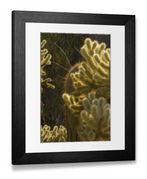 Framed Print : USA, North America, Arizona Framed Print : USA, North America, Arizona