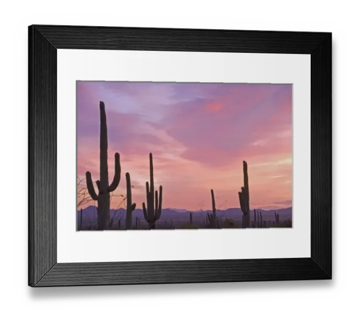Framed Print : USA, Arizona, Saguaro National Park. Saguaro cacti and mountains silhouetted at sunset
