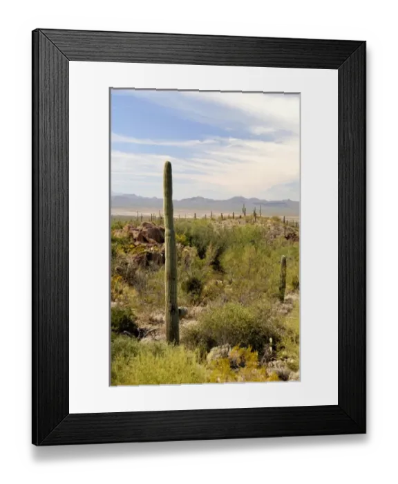 Framed Print : USA, North America, Arizona