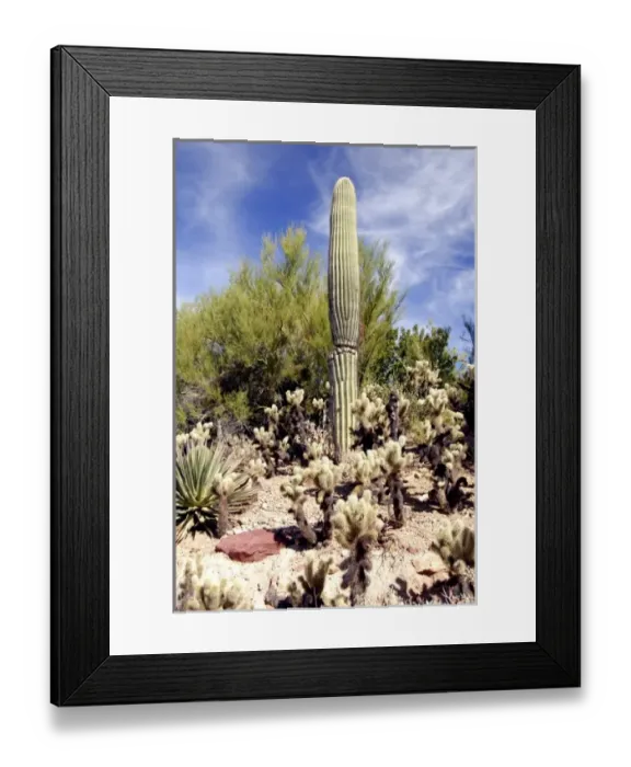 Framed Print : USA, North America, Arizona Framed Print : USA, North America, Arizona