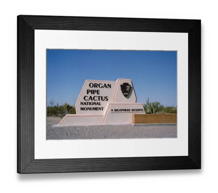 Framed Print : North America, USA, Arizona. Organ Pipe Cactus National Monument Framed Print : North America, USA, Arizona. Organ Pipe Cactus National Monument