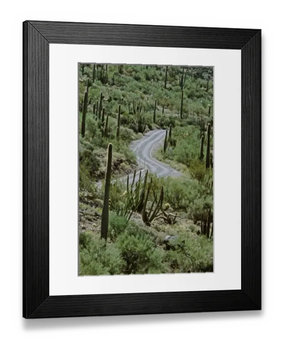Framed Print : USA, North America, Arizona Framed Print : USA, North America, Arizona