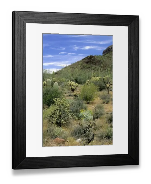 Framed Print : USA, North America, Arizona Framed Print : USA, North America, Arizona