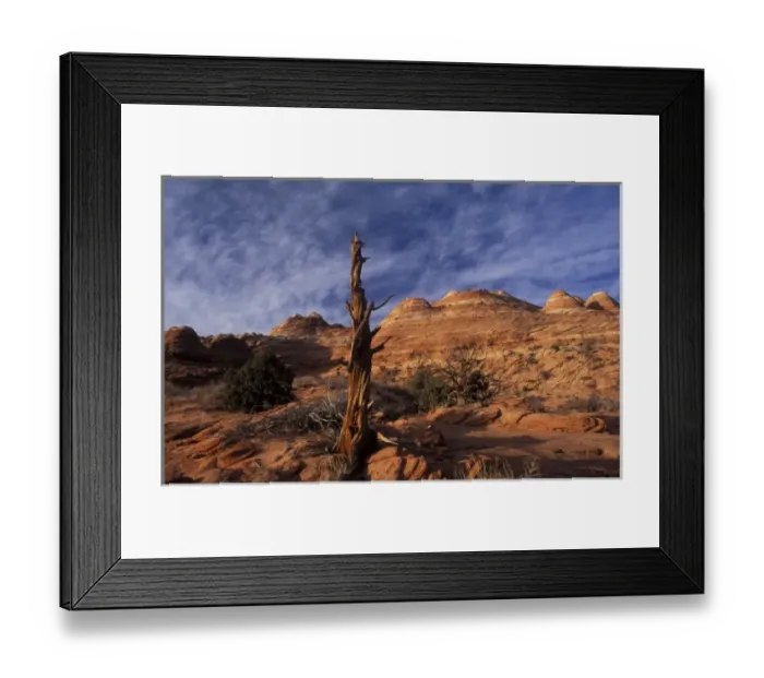 Framed Print : Early morning sun hits sandstone in Coyote Buttes area of Paria Wilderness in northern Arizona