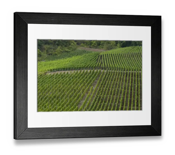 Framed Print : Germany, Rhine River. View along the Rhine River near Boppard (mile marker 570) Framed Print : Germany, Rhine River. View along the Rhine River near Boppard (mile marker 570)