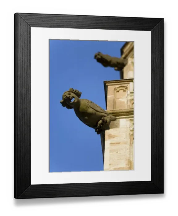 Framed Print : Gargoyle on Gothic tower of Altes Rathaus (city hall), old quarter of city, Cologne Framed Print : Gargoyle on Gothic tower of Altes Rathaus (city hall), old quarter of city, Cologne