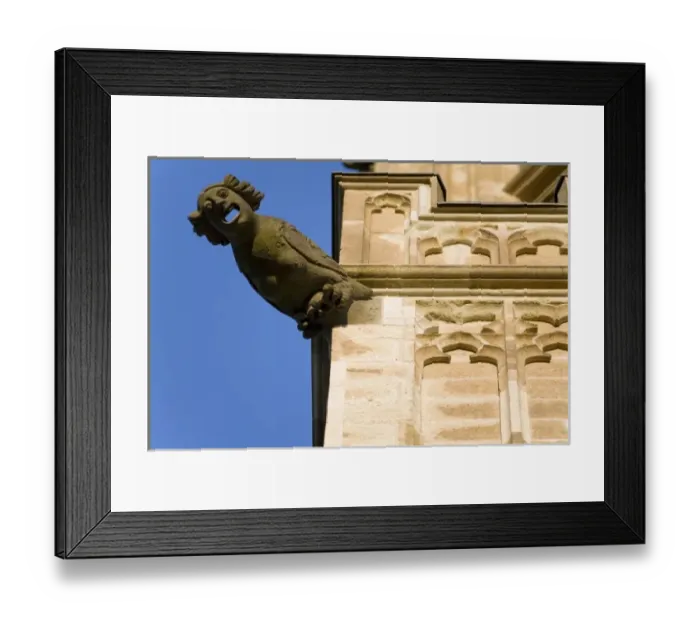 Framed Print : Gargoyle on Gothic tower of Altes Rathaus (city hall), old quarter of city, Cologne Framed Print : Gargoyle on Gothic tower of Altes Rathaus (city hall), old quarter of city, Cologne