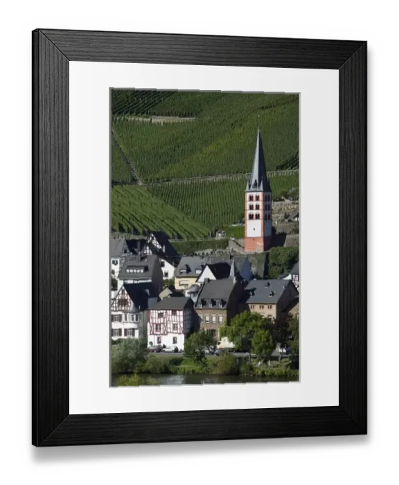Framed Print : Merl bei Zell, vineyards, Mosel Valley, Rhineland Palatinate, Germany