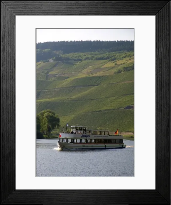 Framed Print : Tour boat on the Mosel River in northwest Germany with vineyards on the hillside Framed Print : Tour boat on the Mosel River in northwest Germany with vineyards on the hillside