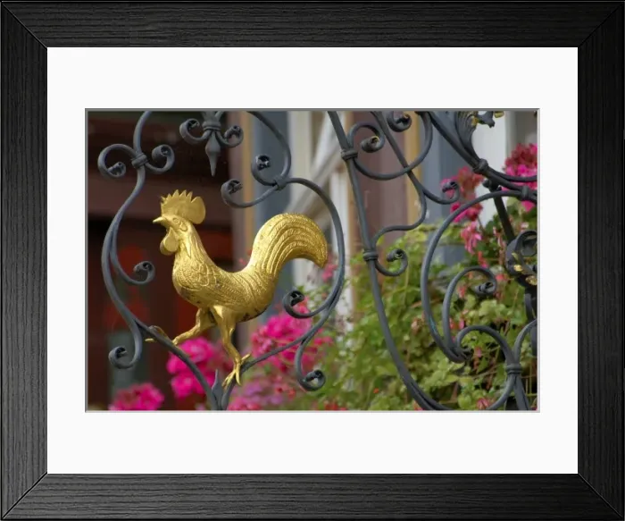 Framed Print : Europe, Germany, Baden-Wurttemberg, Wertheim, shop sign Golden Rooster above Konditorei Framed Print : Europe, Germany, Baden-Wurttemberg, Wertheim, shop sign Golden Rooster above Konditorei