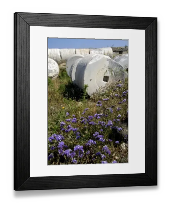 Framed Print : Europe, Greece, Cyclades, Delos