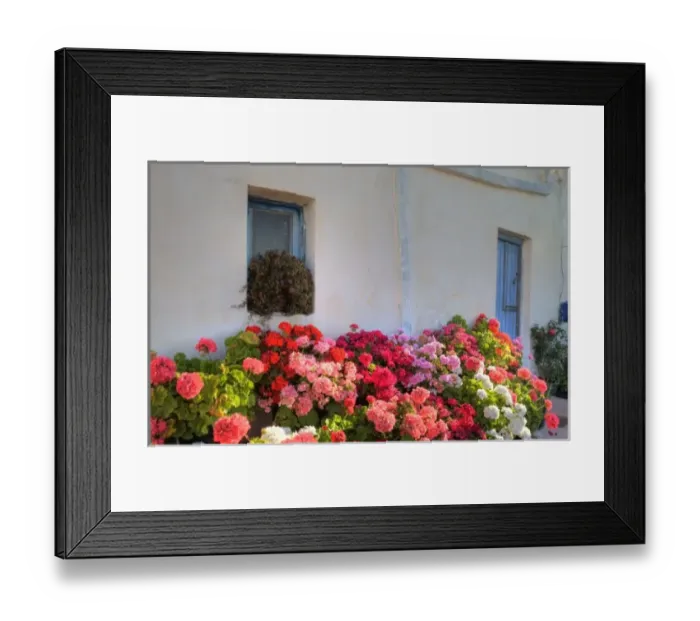 Framed Print : Greece, Mykonos, Geraniums planted in courtyard in central island location Framed Print : Greece, Mykonos, Geraniums planted in courtyard in central island location