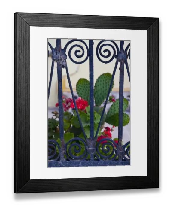 Framed Print : Greece, Santorini. Gates on the Grecian island