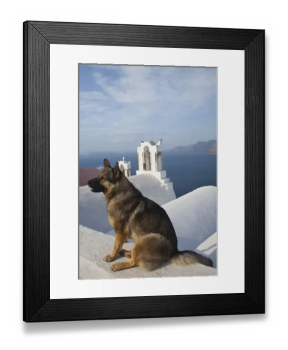 Framed Print : Greece, Santorini, town of Oia with a dog resting over the town and its blue domed churches