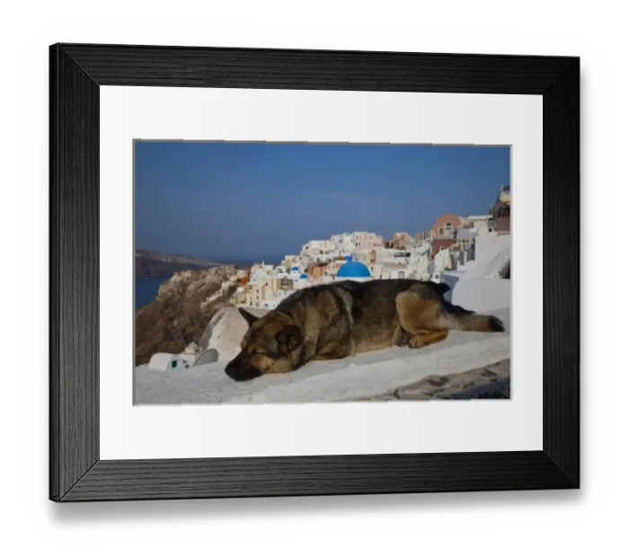 Framed Print : Greece, Santorini, town of Oia with a dog resting over the town and its blue domed churches