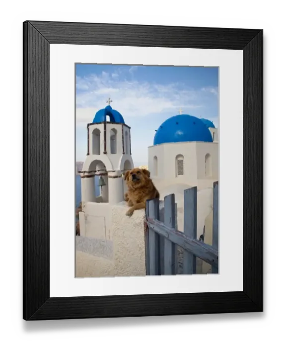 Framed Print : Greece, Santorini, town of Oia with a dog resting over the town and its blue domed Churches