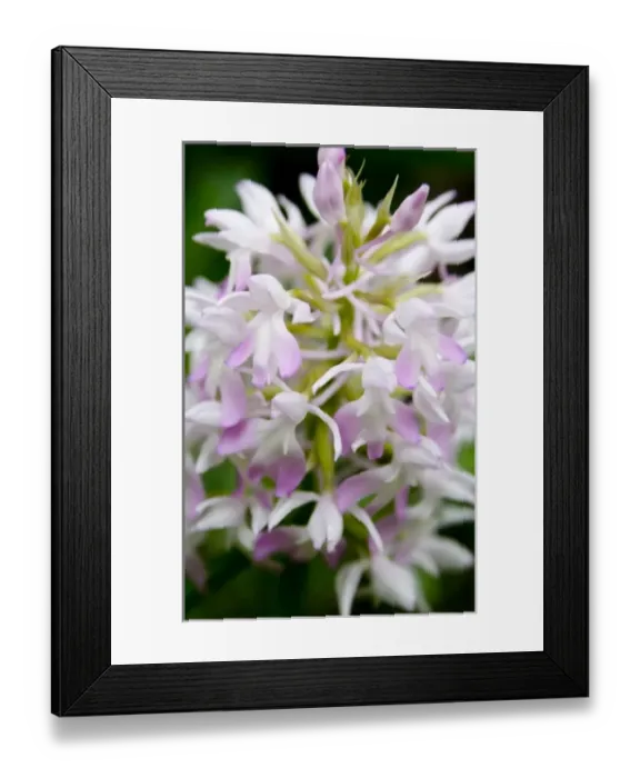 Framed Print : Europe, Greece Framed Print : Europe, Greece