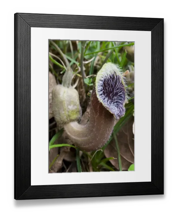Framed Print : Europe, Greece Framed Print : Europe, Greece