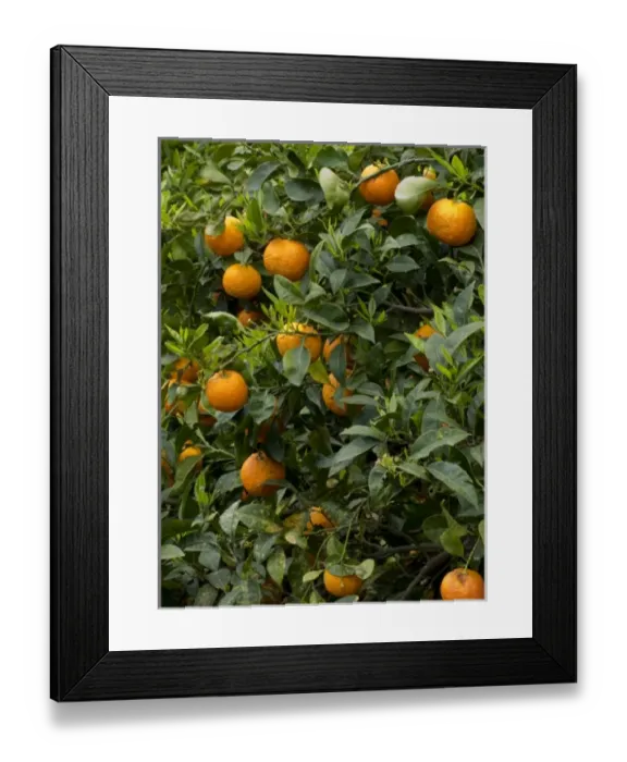 Framed Print : Europe, Greece Framed Print : Europe, Greece