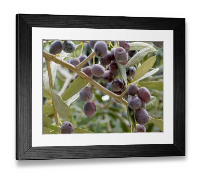 Framed Print : Europe, Greece Framed Print : Europe, Greece