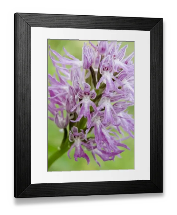 Framed Print : Europe, Greece Framed Print : Europe, Greece