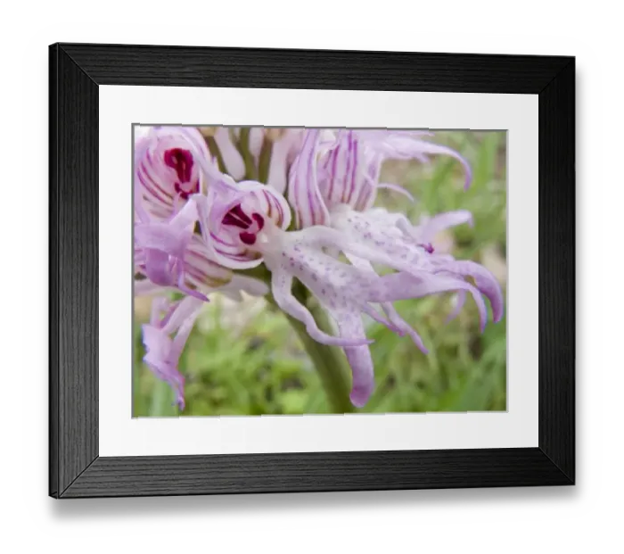 Framed Print : Europe, Greece Framed Print : Europe, Greece