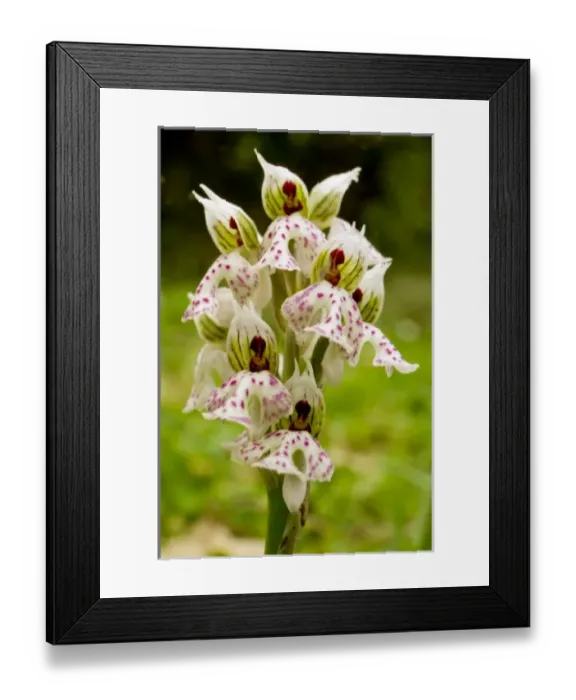 Framed Print : Europe, Greece Framed Print : Europe, Greece