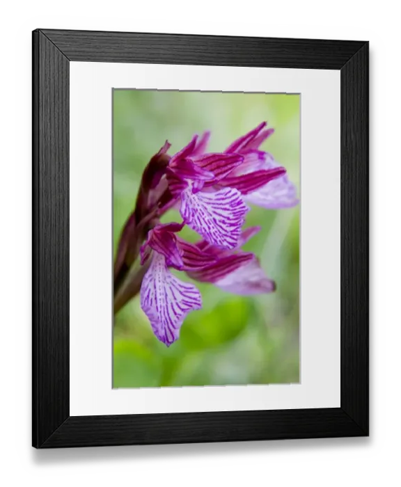 Framed Print : Europe, Greece Framed Print : Europe, Greece