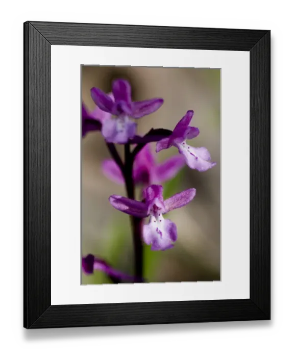 Framed Print : Europe, Greece Framed Print : Europe, Greece