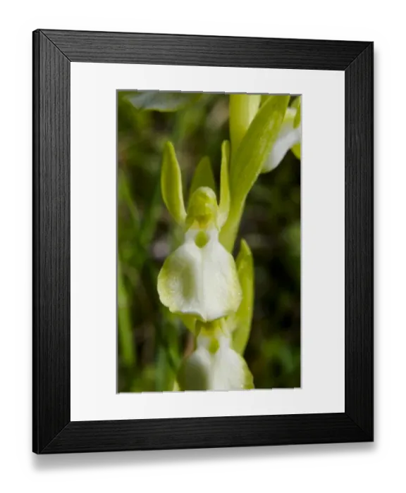 Framed Print : Europe, Greece Framed Print : Europe, Greece
