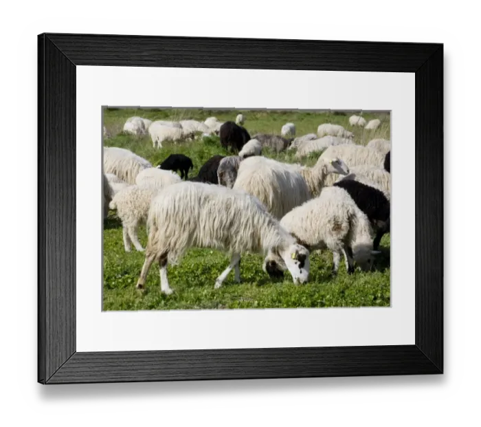 Framed Print : Europe, Greece Framed Print : Europe, Greece