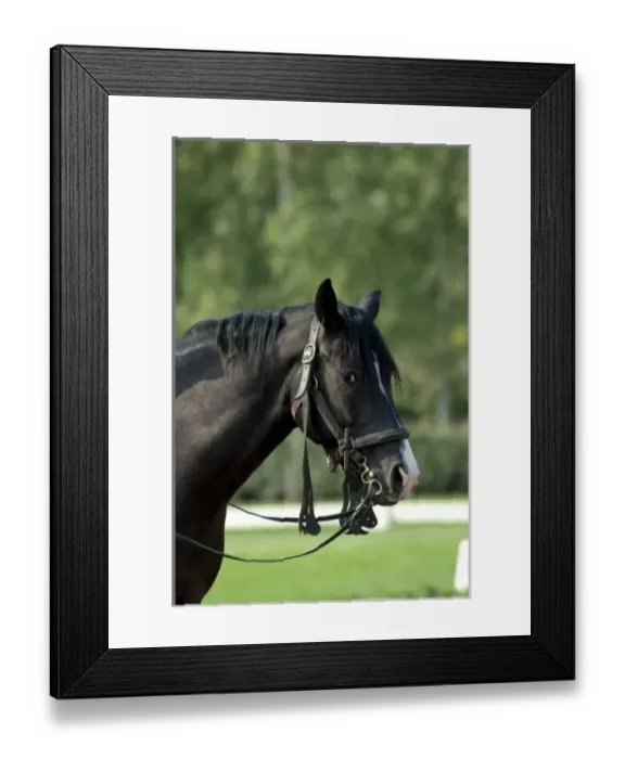 Framed Print : Europe, Hungary