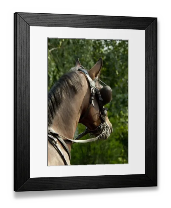 Framed Print : Europe, Hungary Framed Print : Europe, Hungary