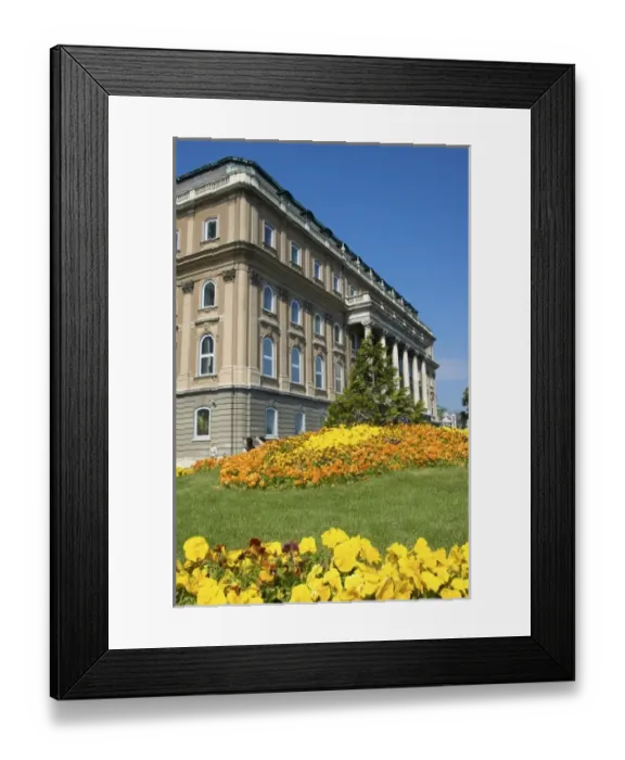 Framed Print : Europe, Hungary, Budapest, Buda, Buda Castle, Castle Hill, palace, Spring flowers Framed Print : Europe, Hungary, Budapest, Buda, Buda Castle, Castle Hill, palace, Spring flowers