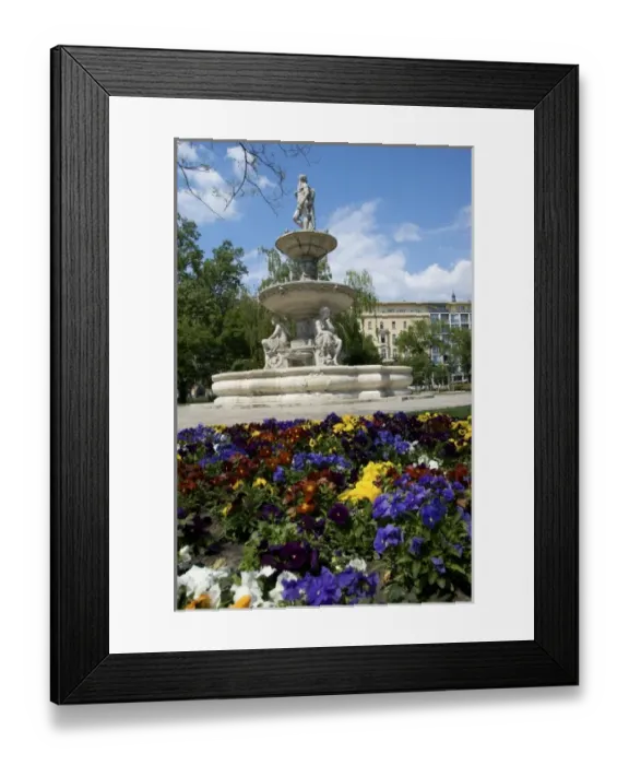 Framed Print : Europe, Hungary, Budapest, Pest, Danubius fountain