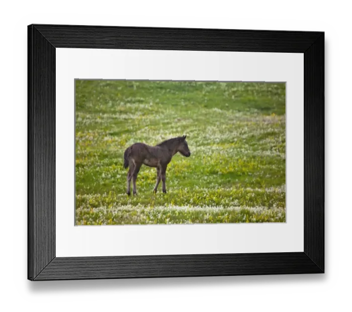 Framed Print : Europe, Iceland Framed Print : Europe, Iceland