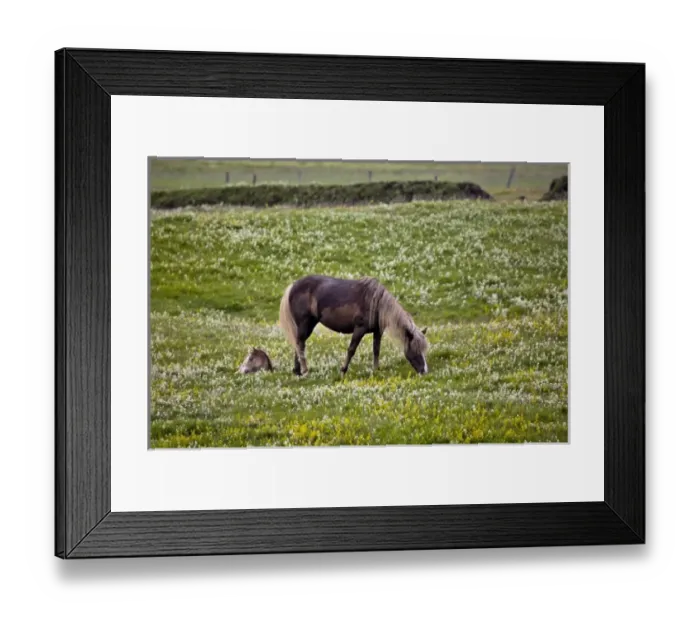 Framed Print : Europe, Iceland