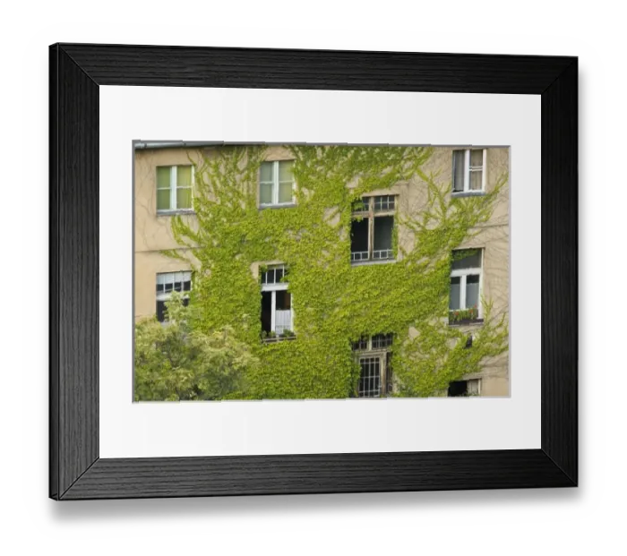 Framed Print : Europe, Hungary Framed Print : Europe, Hungary