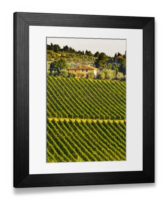 Framed Print : Europe, Italy