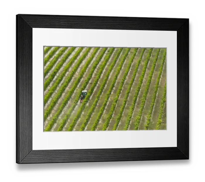 Framed Print : Europe, Italy Framed Print : Europe, Italy