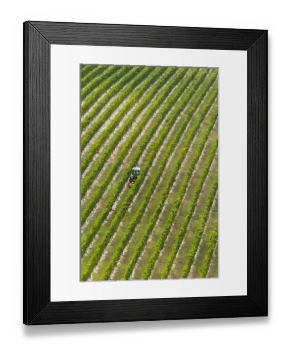 Framed Print : Europe, Italy Framed Print : Europe, Italy