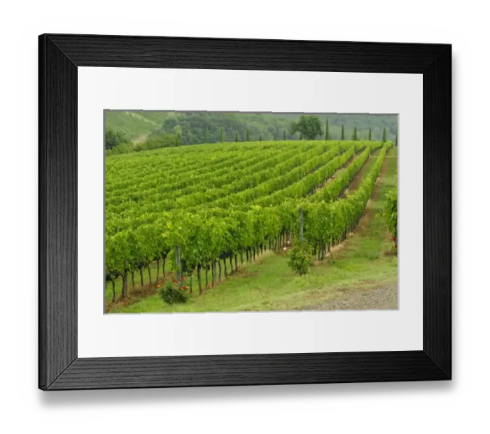 Framed Print : Europe, Italy Framed Print : Europe, Italy