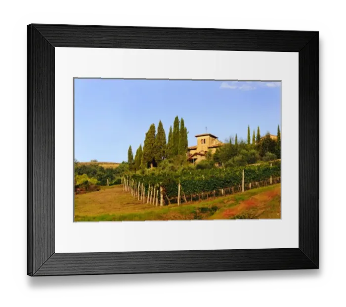 Framed Print : Italy, Tuscany, Greve. Late summer wine scenes from Tuscany