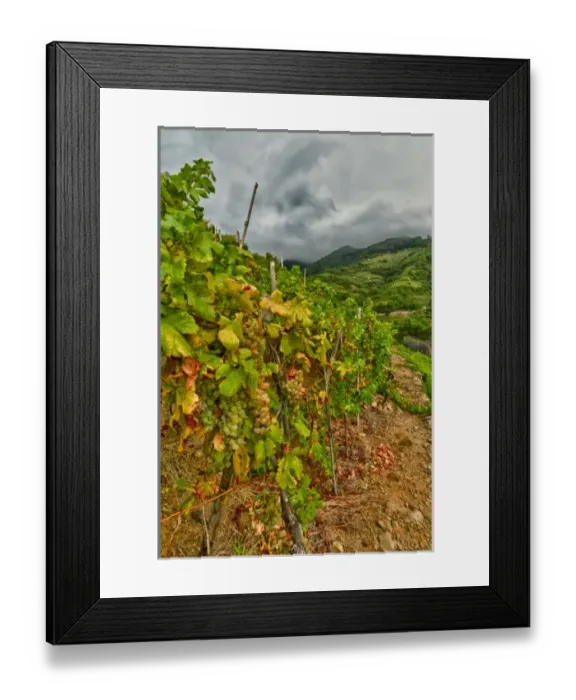 Framed Print : Morning around Cinque Terra Framed Print : Morning around Cinque Terra