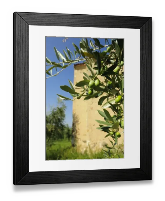Framed Print : Europe, Italy Framed Print : Europe, Italy
