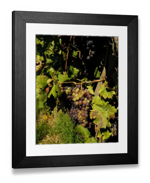 Framed Print : Europe, Italy Framed Print : Europe, Italy