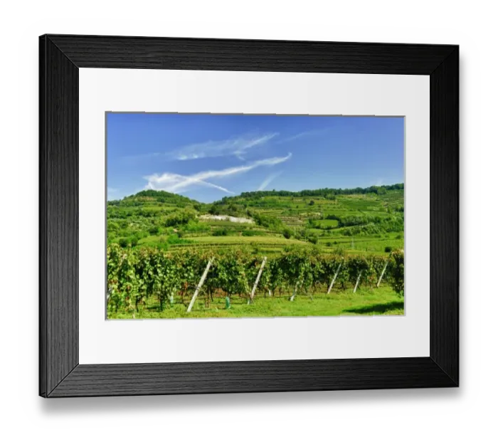 Framed Print : Italy, Venato, Soave. The Soave commune produces a dry white wine from the Veneto