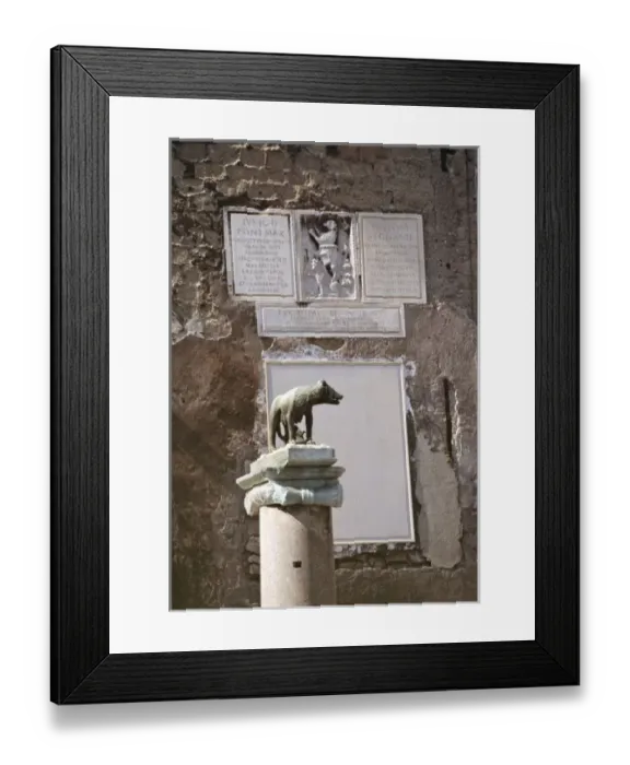 Framed Print : Europe, Italy, Rome. The Capitoline Wolf, with Romulus and Remus, on the Palatine Framed Print : Europe, Italy, Rome. The Capitoline Wolf, with Romulus and Remus, on the Palatine
