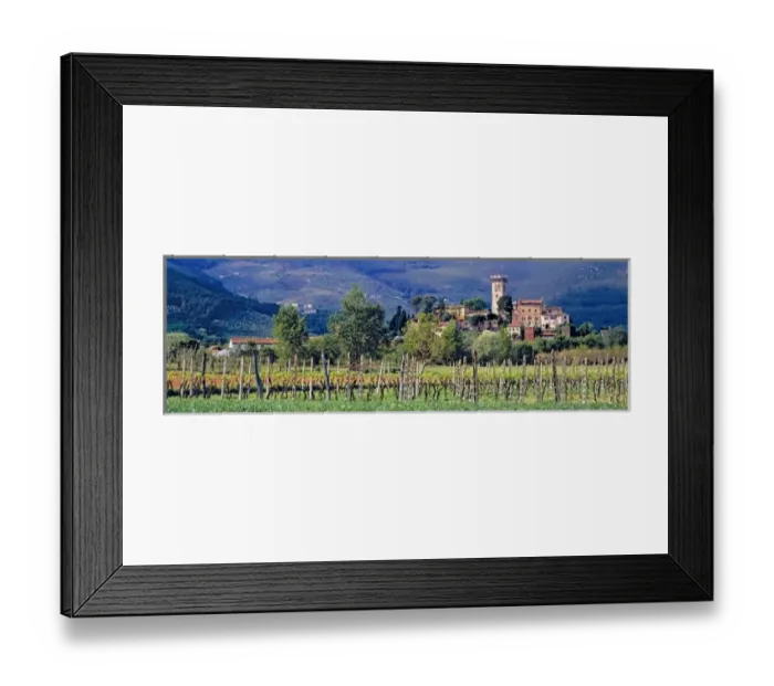 Framed Print : Europe, Italy, Vicopisano. A small vineyard grows below the Tuscan village of Vicopisano